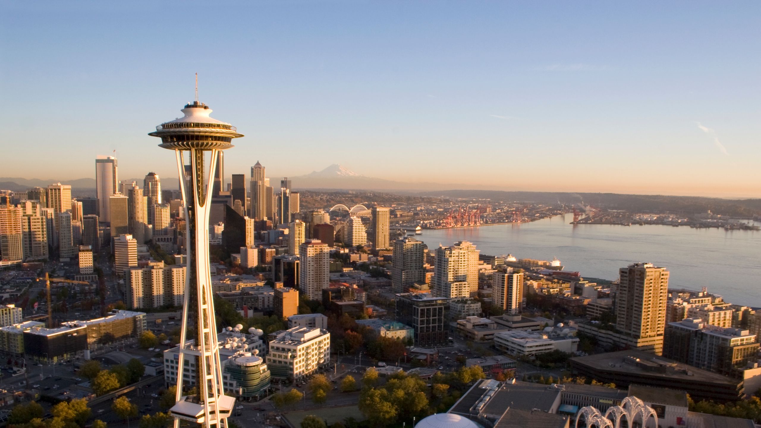 Seattle, WA - Aerial view of neighborhood and surrounding area